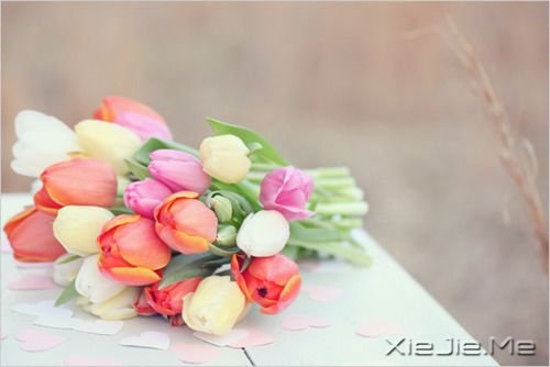 晚安心语:我想成为你最好的邂逅,最难的再见 (12)