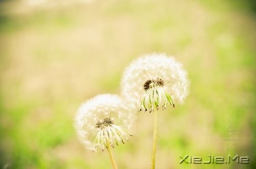 用自己的光,照亮自己的路