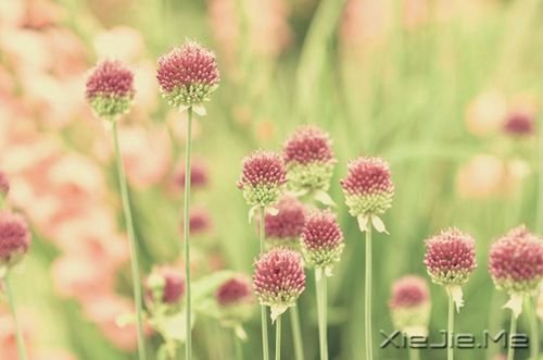 要么混日子等老,要么拼命赢未来