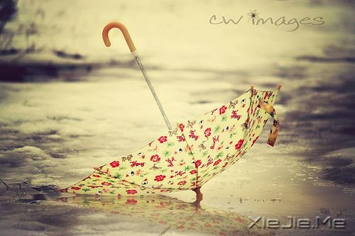 别人的怜悯,搏不来美好的未来 (10) 小清新图片 (10)