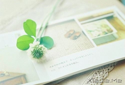 晚安心语:人生活的是经历,幸福总是在路上 (8)