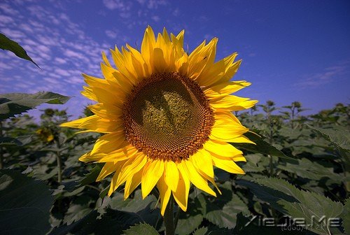 一个人流浪,不必去远方 (7)