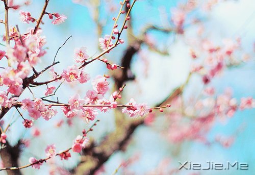 沈奇岚:无论何时,年华都盛开