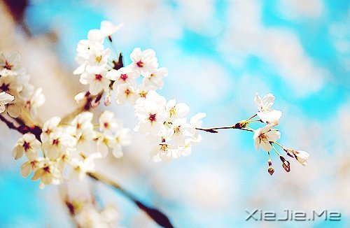 2014,用12个月来改变自己 (6)