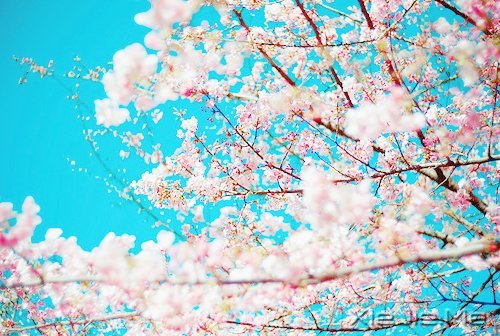 2014,用12个月来改变自己 (10)