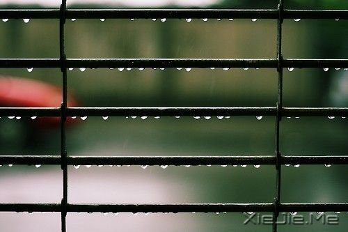 14首关于雨的纯音乐推荐 (2)