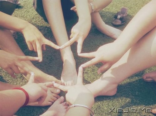 关于毕业的20首歌曲推荐 (19)