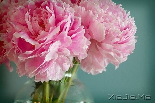 10首温暖的英文歌曲推荐 (9)