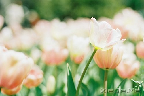 什么是0.8生活学?生活需要冲,更需要缓冲