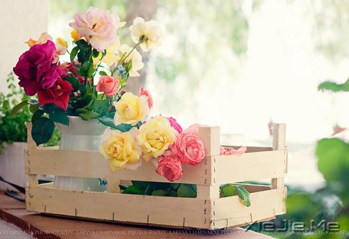 经典语录:输什么也不能输了心情 (10)