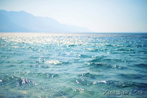 人生路上的十大奢侈品 (9)