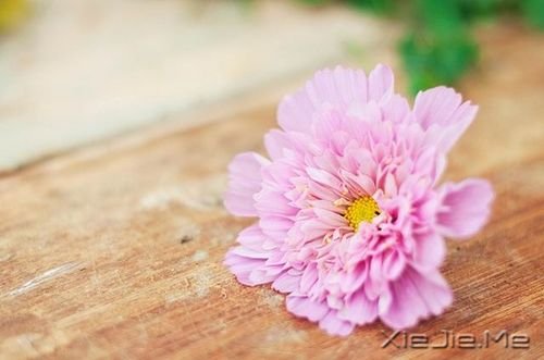 成就一生的50个好心态 (1)