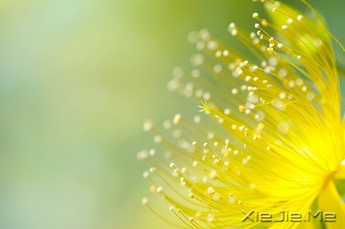 30句做人之道处事之理 (3)