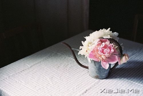 美好的旧日时光 (1) 治愈系图片 (1)