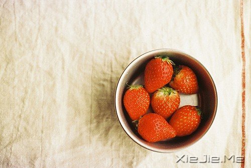 说好永远的,不知怎么就散了