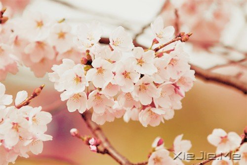 没有人会一夜改变