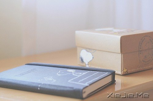 9个最重要的生活态度